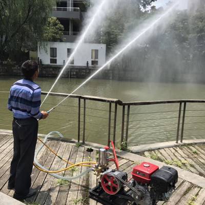 农田喷药设备选购指南 柴油、汽油与手推式喷药机价格与特性解析