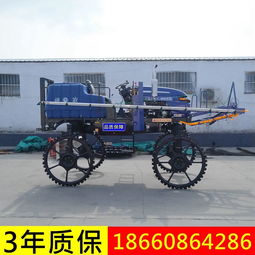 自走式三轮打药机 高效农用杀虫喷药新选择